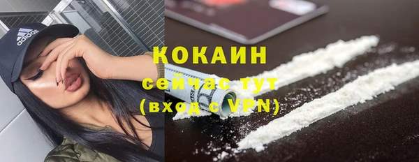 стафф Алзамай