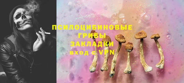 стафф Алзамай