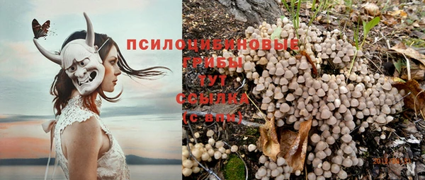 твердый Алексеевка