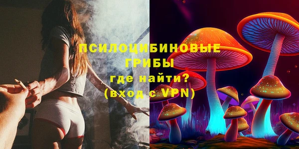мяу мяу мука Алексин