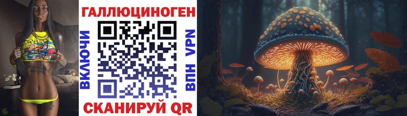 Псилоцибиновые грибы мицелий  дарнет шоп  Устюжна 